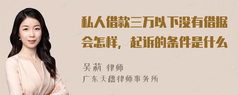 私人借款三万以下没有借据会怎样，起诉的条件是什么