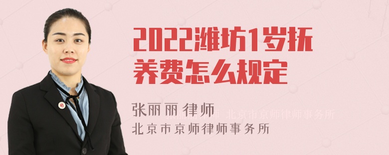 2022潍坊1岁抚养费怎么规定