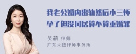 我老公婚内出轨然后小三怀孕了但没同居算不算重婚罪