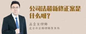 公司法最新修正案是什么呀？