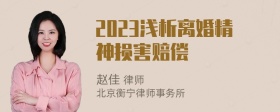 2023浅析离婚精神损害赔偿