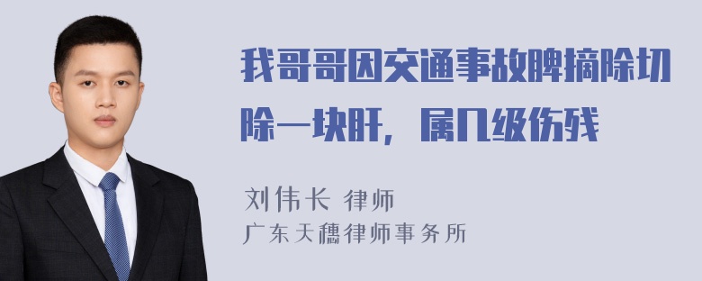 我哥哥因交通事故脾摘除切除一块肝，属几级伤残