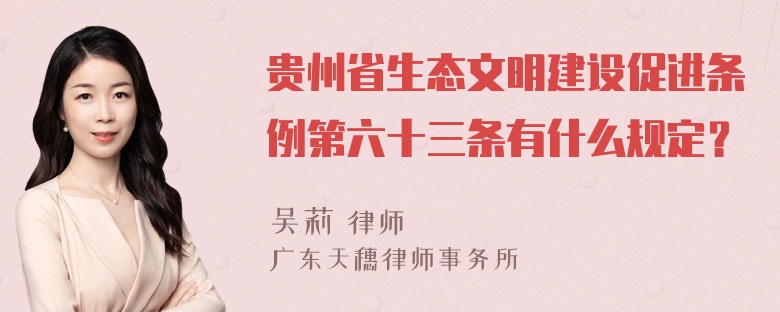 贵州省生态文明建设促进条例第六十三条有什么规定？