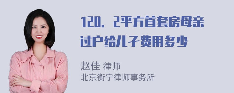 120．2平方首套房母亲过户给儿孑费用多少