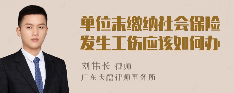 单位未缴纳社会保险发生工伤应该如何办