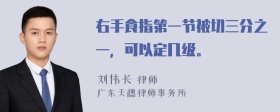 右手食指第一节被切三分之一，可以定几级。