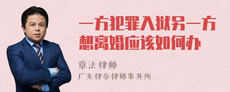 一方犯罪入狱另一方想离婚应该如何办