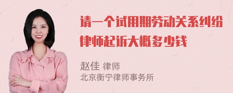 请一个试用期劳动关系纠纷律师起诉大概多少钱