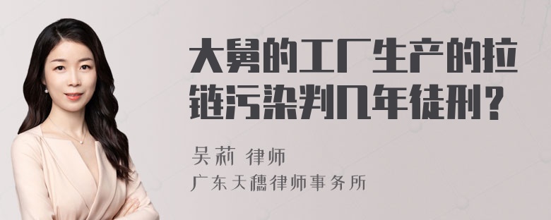 大舅的工厂生产的拉链污染判几年徒刑？