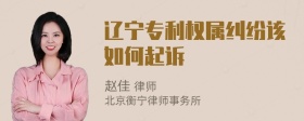 辽宁专利权属纠纷该如何起诉