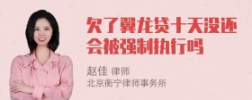 欠了翼龙贷十天没还会被强制执行吗