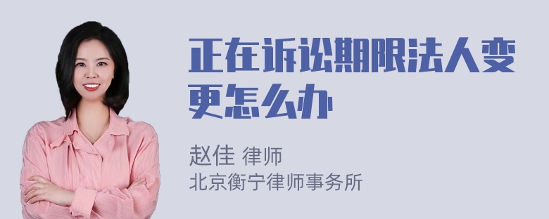 正在诉讼期限法人变更怎么办