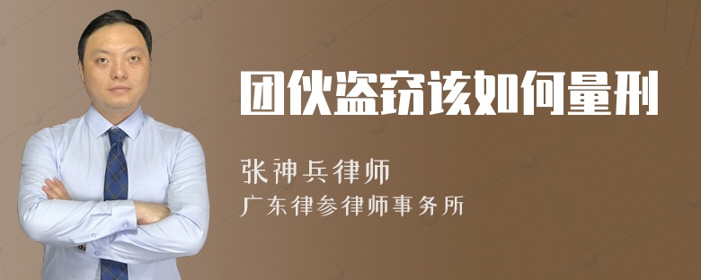 团伙盗窃该如何量刑