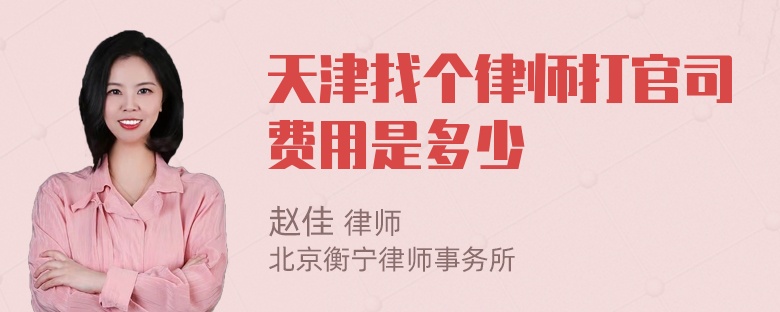 天津找个律师打官司费用是多少