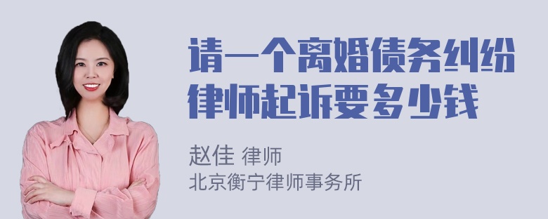 请一个离婚债务纠纷律师起诉要多少钱