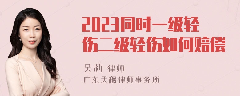 2023同时一级轻伤二级轻伤如何赔偿