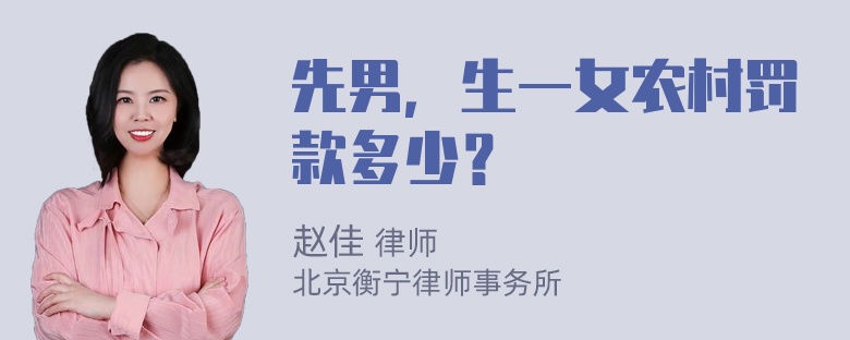 先男，生一女农村罚款多少？