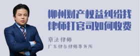 柳州财产权益纠纷找律师打官司如何收费