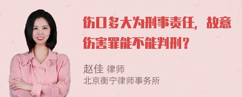 伤口多大为刑事责任，故意伤害罪能不能判刑？