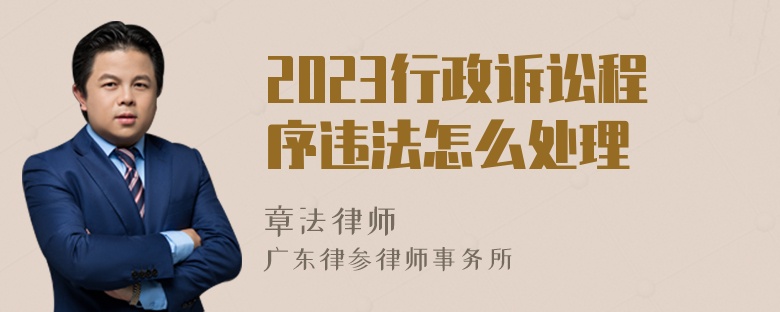 2023行政诉讼程序违法怎么处理