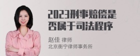 2023刑事赔偿是否属于司法程序