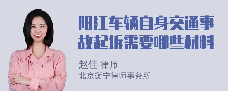 阳江车辆自身交通事故起诉需要哪些材料