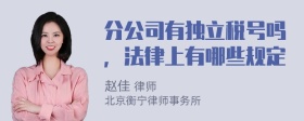 分公司有独立税号吗，法律上有哪些规定