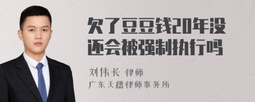 欠了豆豆钱20年没还会被强制执行吗