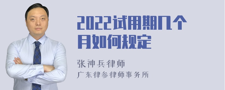 2022试用期几个月如何规定