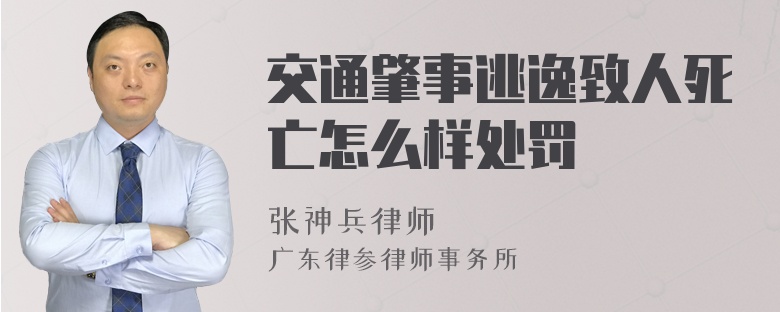 交通肇事逃逸致人死亡怎么样处罚