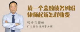 请一个金融债务纠纷律师起诉怎样收费