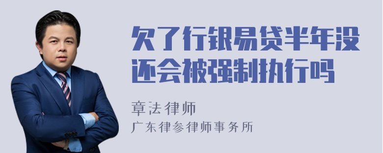 欠了行银易贷半年没还会被强制执行吗