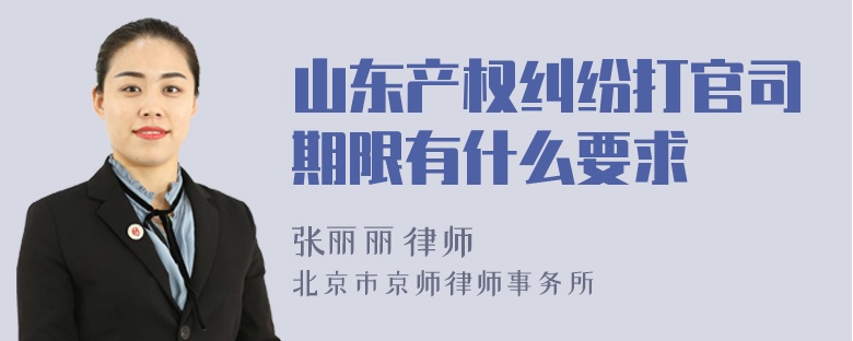 山东产权纠纷打官司期限有什么要求