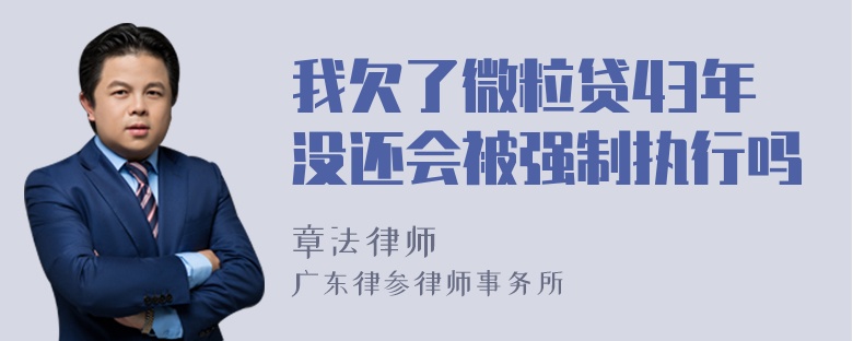 我欠了微粒贷43年没还会被强制执行吗