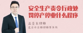 安全生产责令行政处罚停产停业什么程序