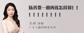 抚养费一般再该怎样算！！！！！！！！！！