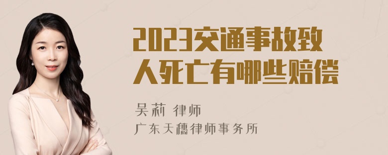 2023交通事故致人死亡有哪些赔偿