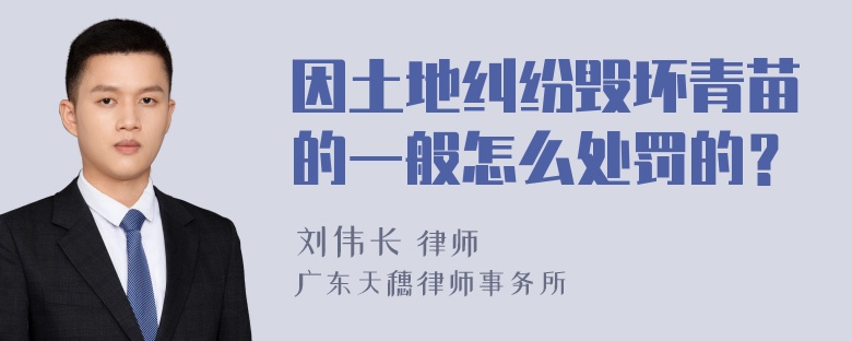 因土地纠纷毁坏青苗的一般怎么处罚的？