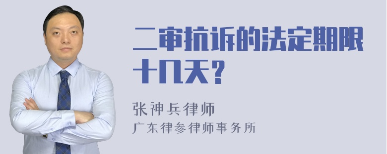 二审抗诉的法定期限十几天？