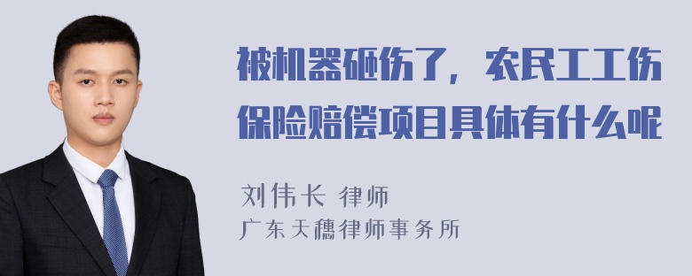 被机器砸伤了，农民工工伤保险赔偿项目具体有什么呢