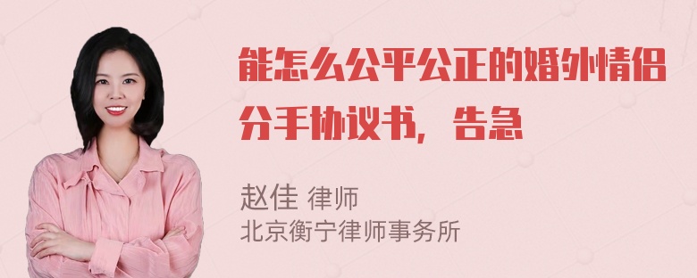 能怎么公平公正的婚外情侣分手协议书，告急