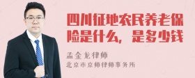 四川征地农民养老保险是什么，是多少钱