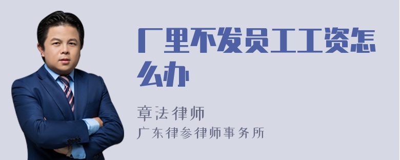 厂里不发员工工资怎么办