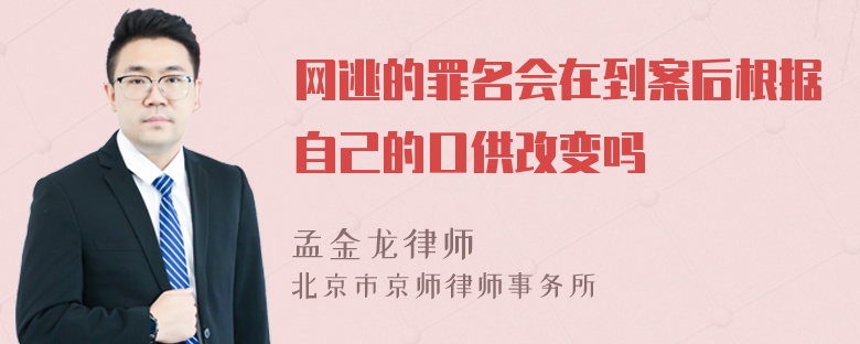 网逃的罪名会在到案后根据自己的口供改变吗