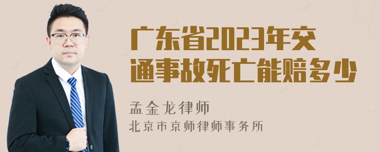 广东省2023年交通事故死亡能赔多少