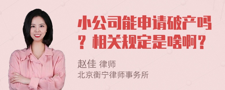 小公司能申请破产吗？相关规定是啥啊？