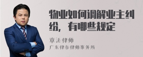 物业如何调解业主纠纷，有哪些规定