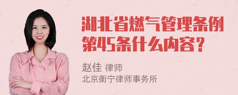 湖北省燃气管理条例第45条什么内容？