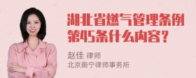 湖北省燃气管理条例第45条什么内容？