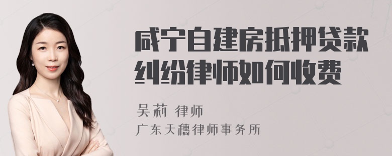 咸宁自建房抵押贷款纠纷律师如何收费